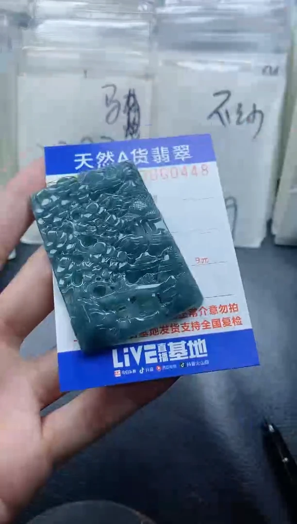 【闪购商品】翡翠颈饰未镶嵌
