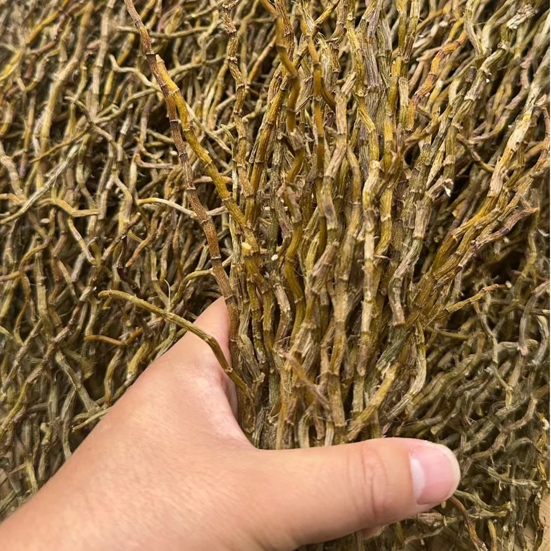 云南统货铁皮石斛（适煲汤煮水磨粉）