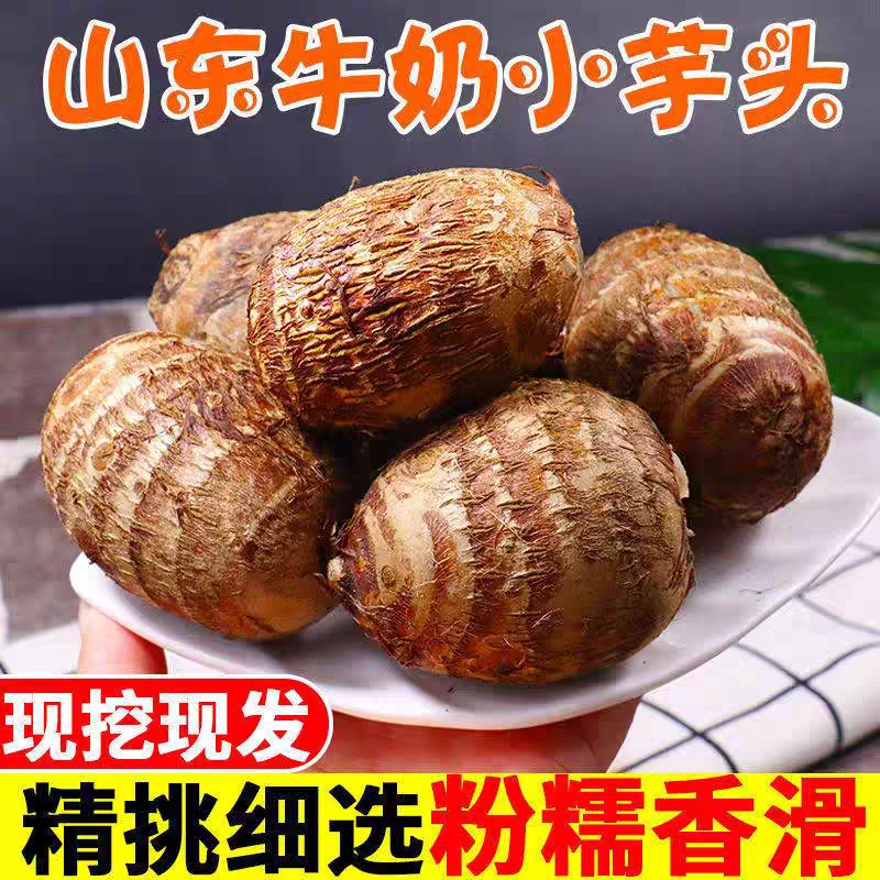山东芋头现挖牛奶小芋头农户种植新鲜应季香糯美食