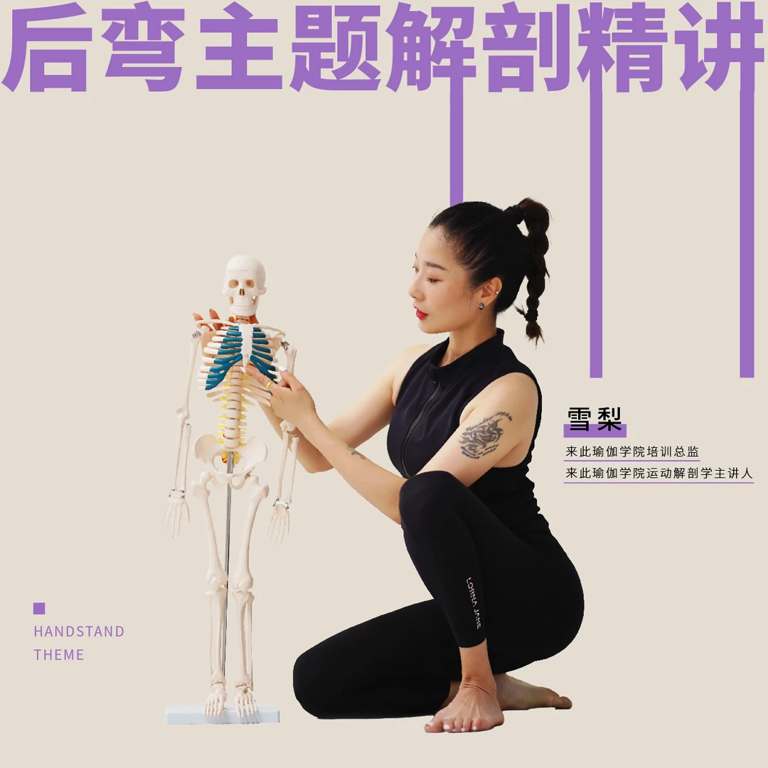 《后弯主题》解剖课  【一定要注意看短信！！！】
