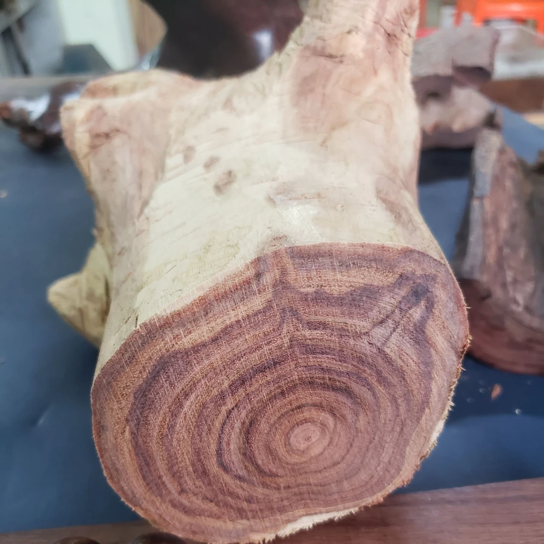 海南黄花梨2.0X12粒 现场直播开料