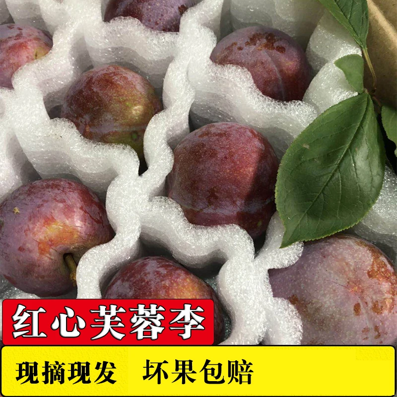 福建龙岩芙蓉李酸甜新鲜红心李子福李现摘现发孕妇当季水果包邮