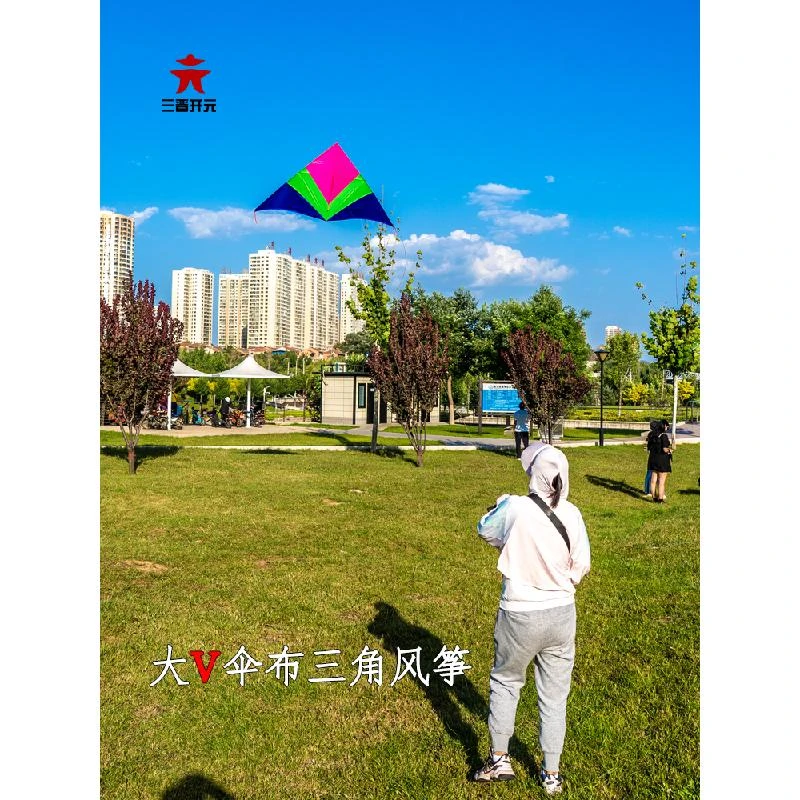三晋开元风筝伞布大v三角544微风易飞碳素杆大人专用初学2024新款