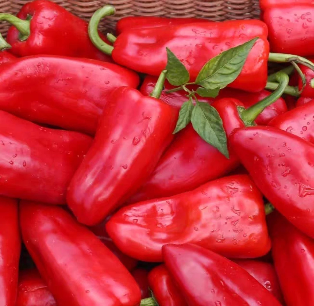 华容本地大红辣椒耿辣椒顺丰包邮