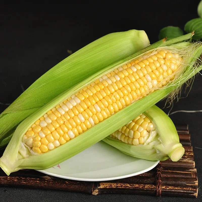 新鲜水果甜玉米爆浆好吃多汁口感鲜嫩香颗粒饱满优质好吃产品