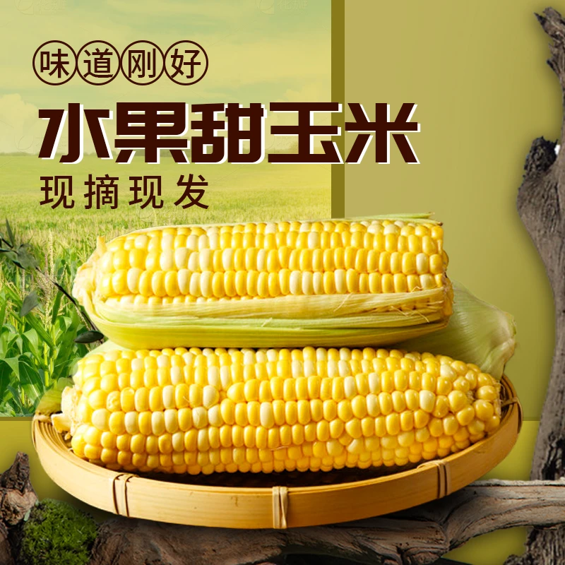 云南水果甜玉米金银新鲜现摘现发货煮熟口感鲜脆嫩爆浆产品饱满