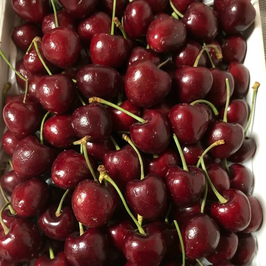 【五斤原装】智利桑提娜JD车厘子