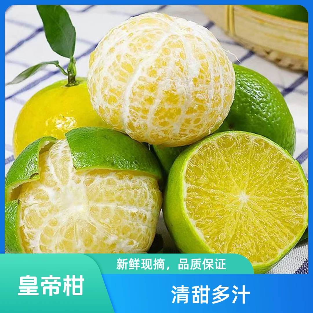 正宗广西武鸣皇帝柑当季橘子40个/5/8斤新鲜现摘清甜多汁现发水果