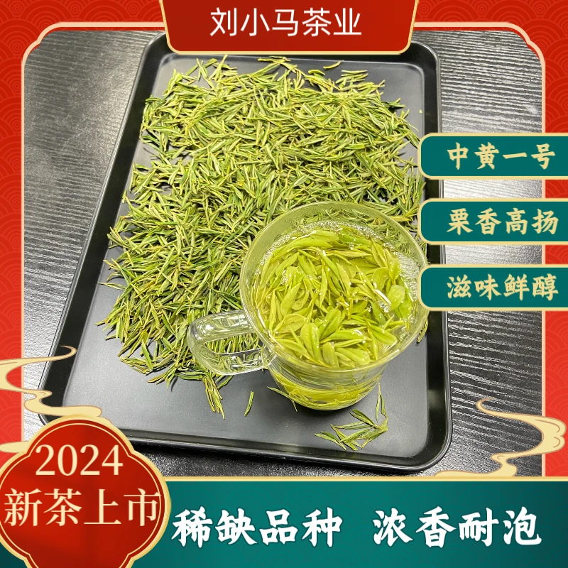 【迎春嫩芽】2024新茶刘小马中黄一号H9安吉稀缺黄金芽白茶源头品质