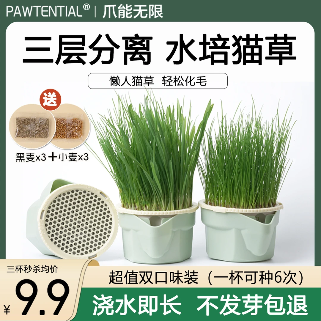 无土水培猫草杯懒人水培盒可重复种猫草盆栽猫草零食化毛去毛球