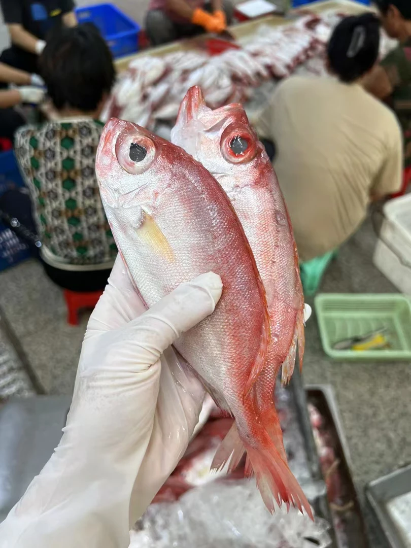 神泉本港新鲜红目鲢【广东省内包邮】