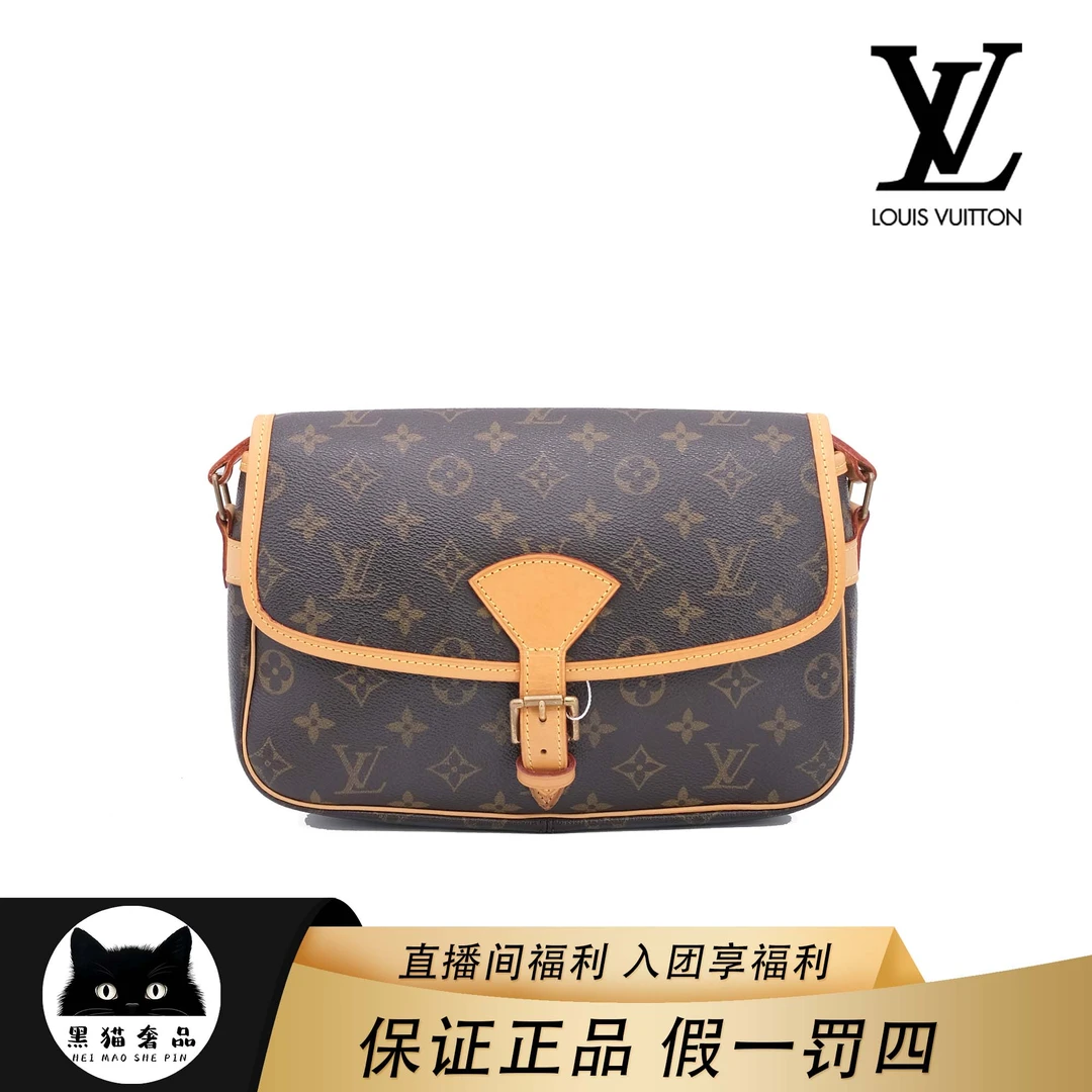 95新 LouisVuitton/路易威登 lv老花经典法棍包/邮差/LV女包/换新