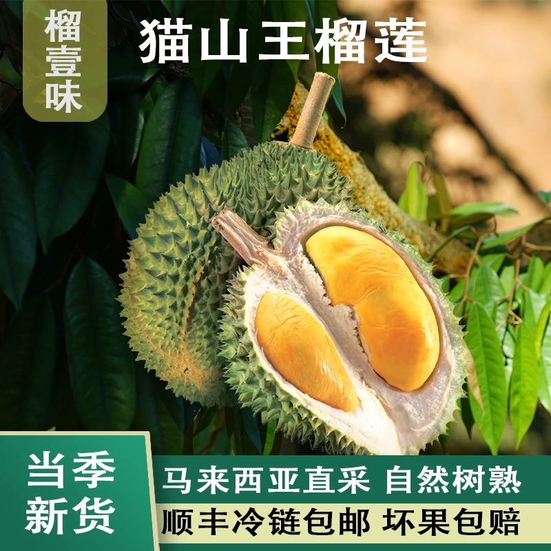 【现场选果保房保出肉】马来西亚猫山王榴莲d197液氮冷冻榴莲顺丰发