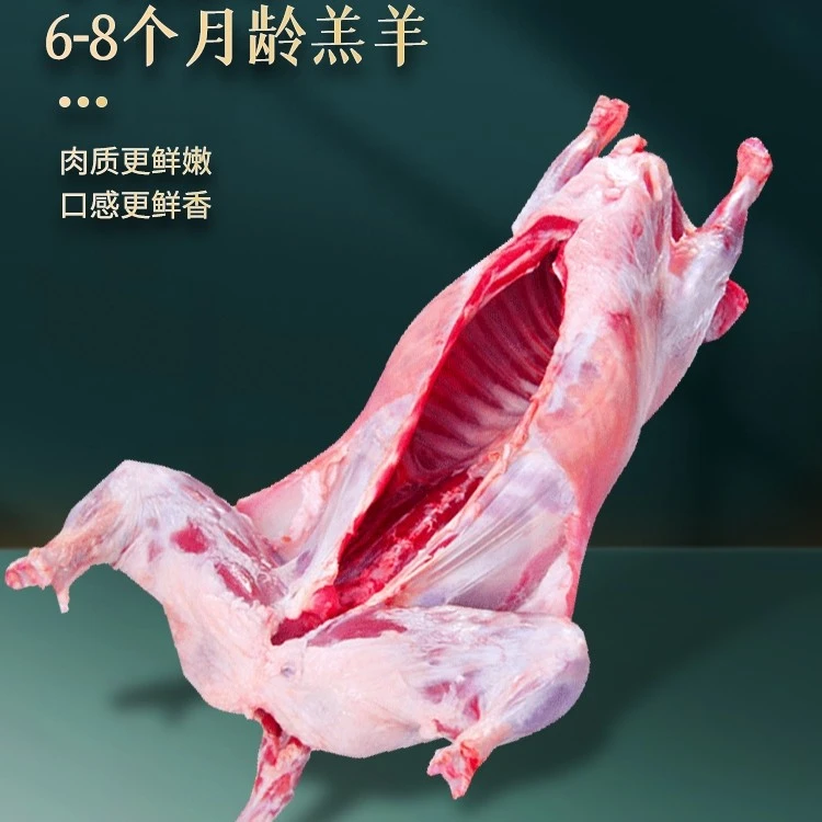 整只羊25-30斤-宁夏散养滩羊肉当天现宰新鲜羊肉