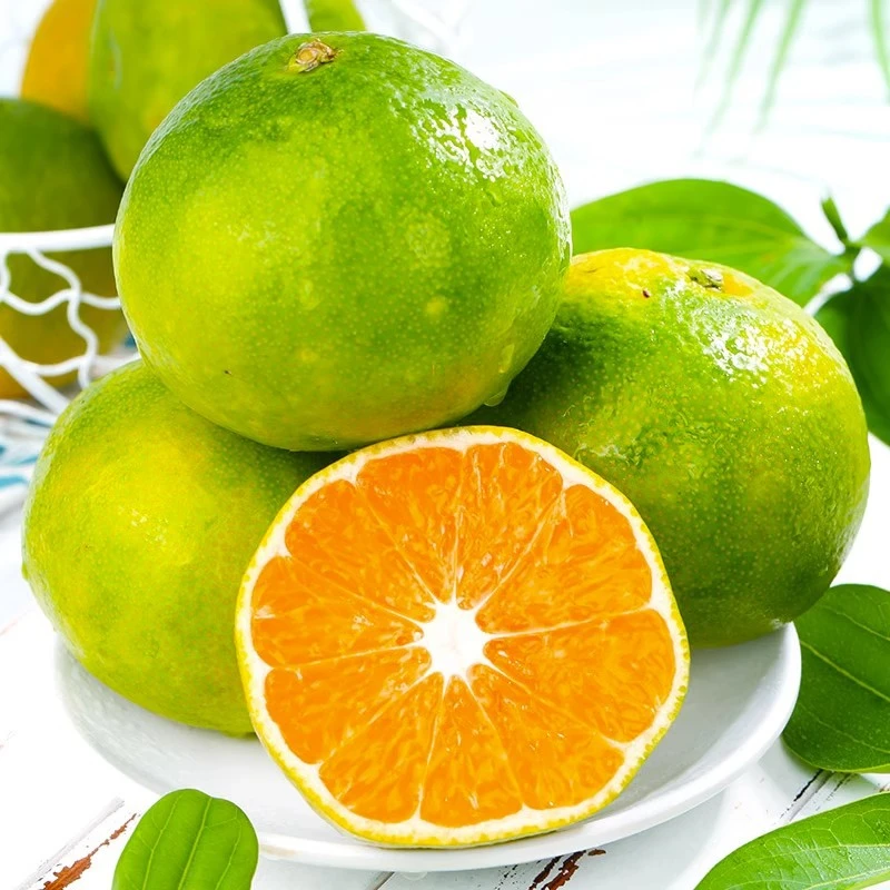 橘子 新鲜蜜橘 现在 应季水果