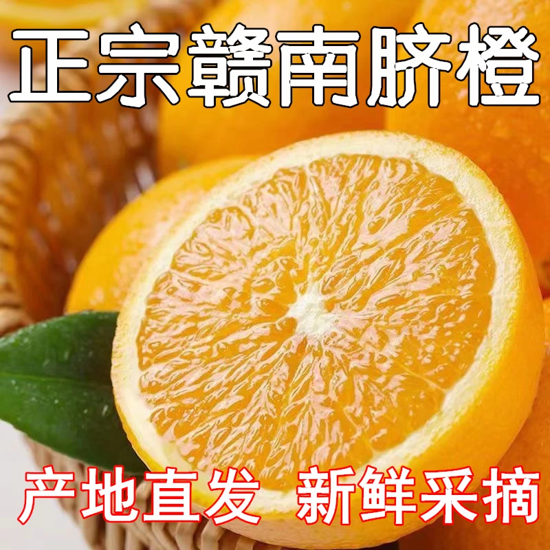 【金彤专属】江西正宗赣南脐橙果园现摘现发