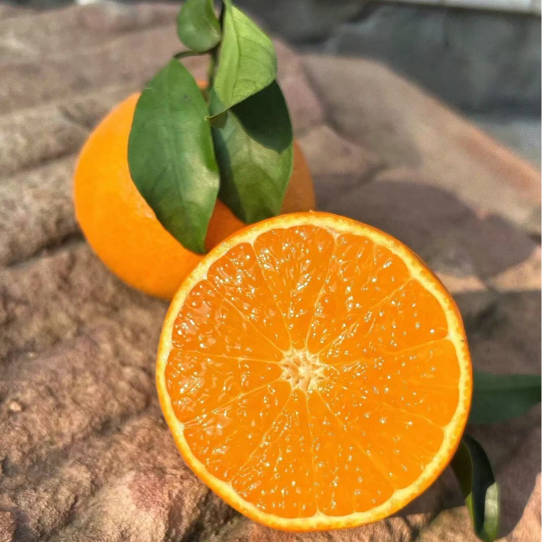【爱媛38号果冻橙】2024头茬四川正宗爱媛果冻橙 核心产区 现摘现发