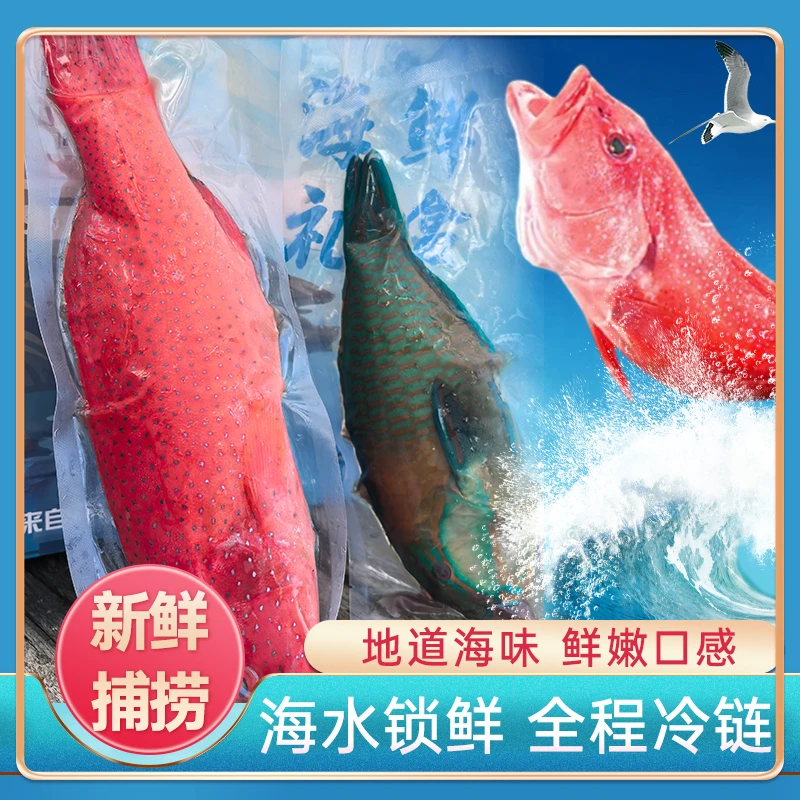 南海海鲜礼盒亲朋送礼海鲜大礼包套餐A