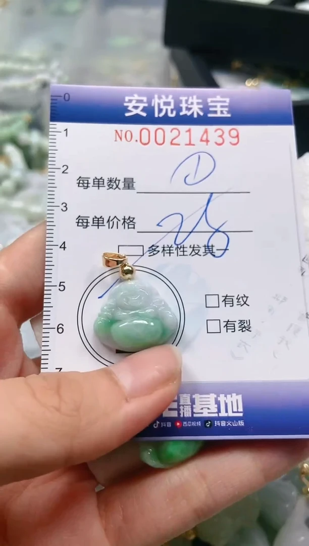 【闪购商品】翡翠颈饰未镶嵌闪购商品0021439多样性发其一