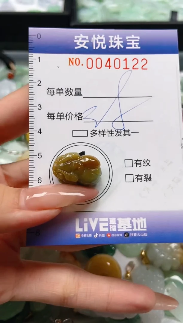 【闪购商品】翡翠颈饰未镶嵌闪购0040122