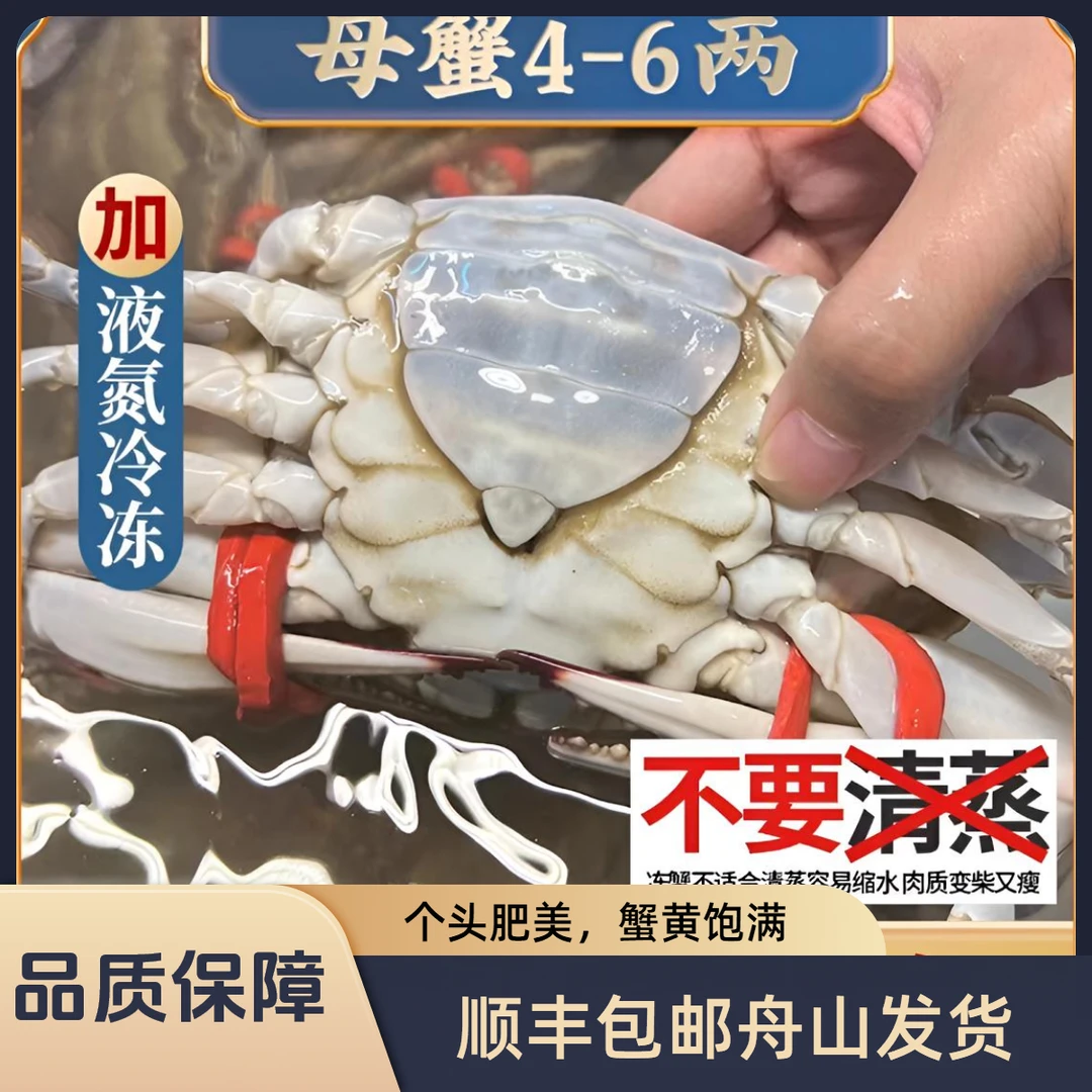 d【大号肉母蟹】舟山野生梭子蟹半斤/只 液氮螃蟹飞蟹顺丰包邮海鲜