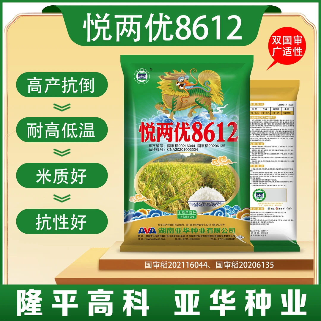 【直播专属】悦两优8612水稻种高产抗倒耐高低温米质好