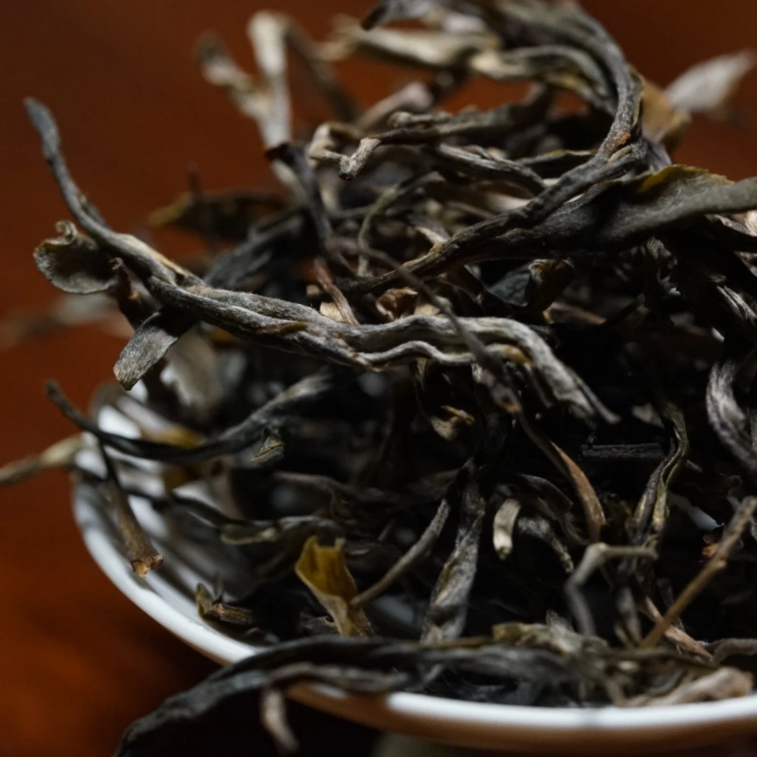 璞润元古茶【天选之茶】普洱茶散茶8g一泡