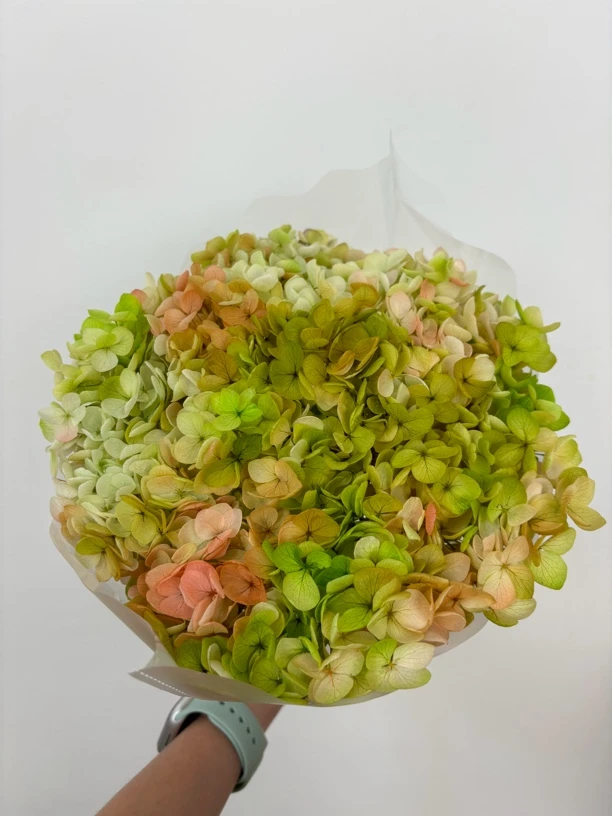 花予｜永生绣球单拍链接