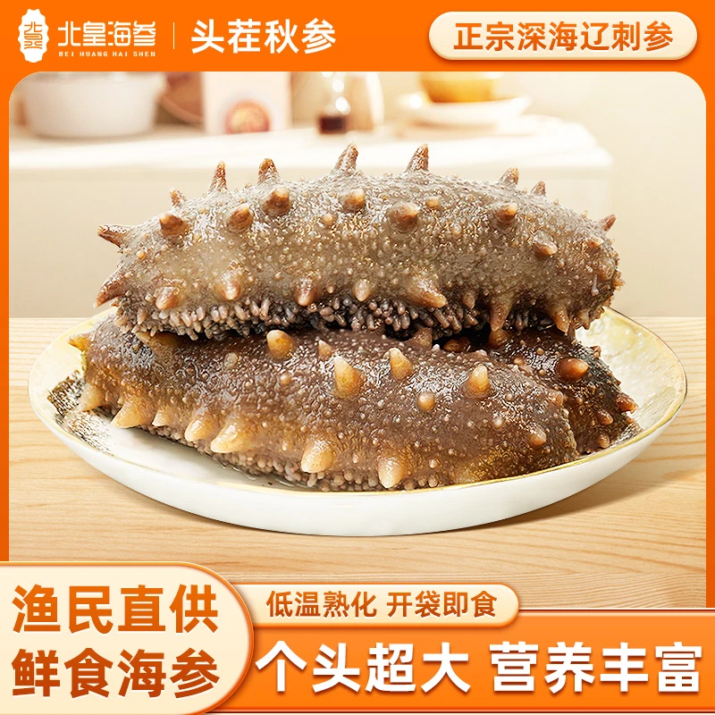 【北皇海参 单根约7-10cm】即食海参大连参/顺丰冷链 热销500g