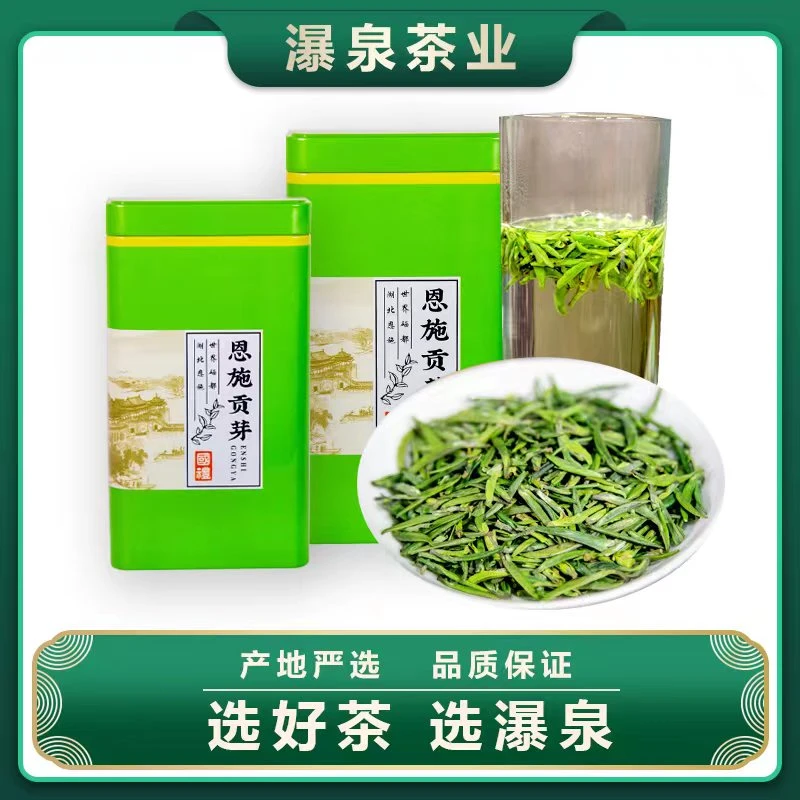 【恩施贡芽】2024春茶新茶 恩施硒茶云雾茶清香嫩芽茶叶礼盒种植