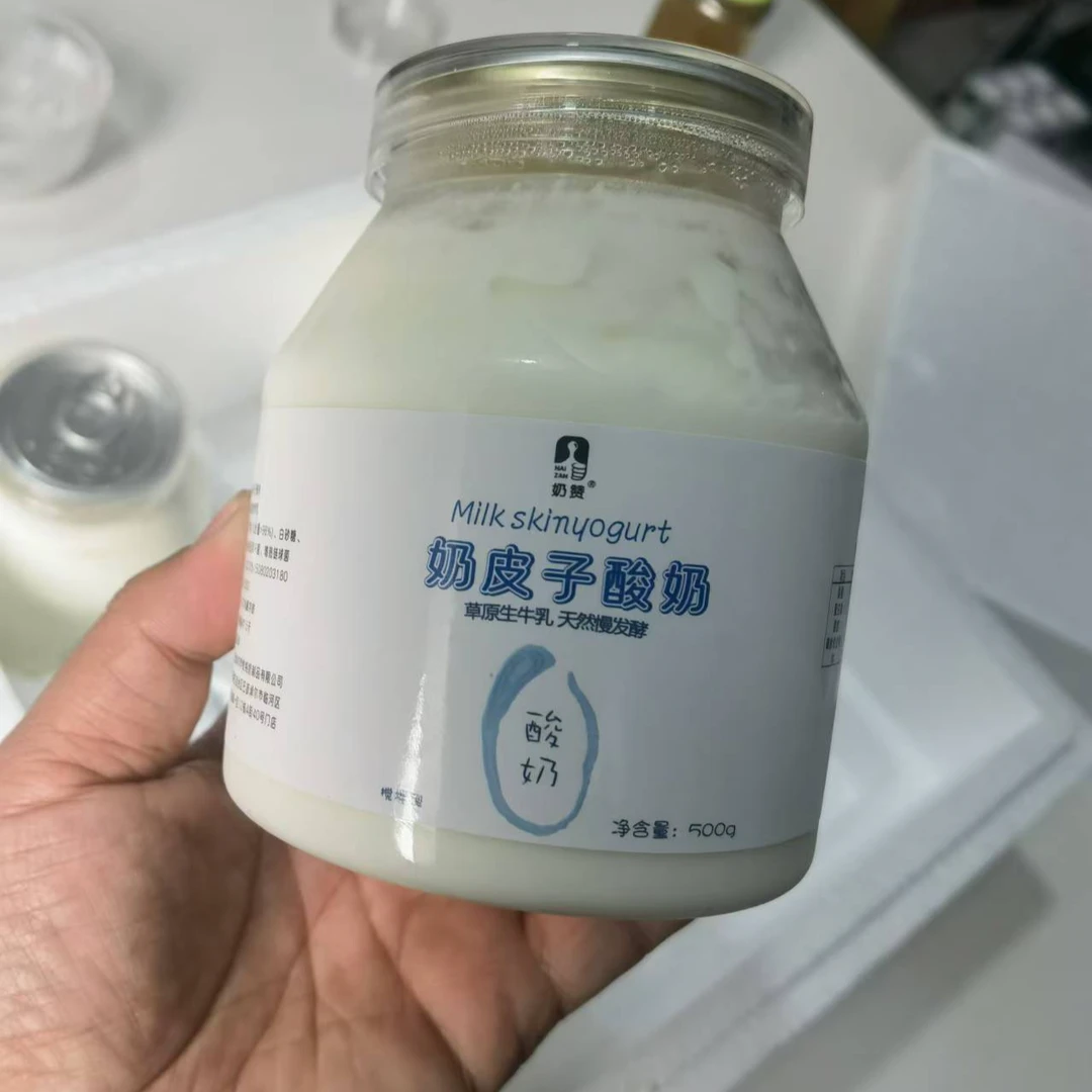 奶赞内蒙古酸奶 无蔗糖酸奶500g老酸奶低温酸牛奶佐餐