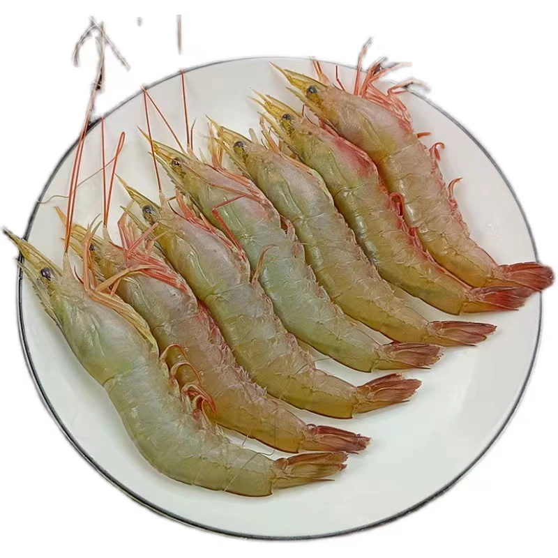 广东阳江  速冻锁鲜  海捕 麻虾500克一盒 大小直播间实物为准