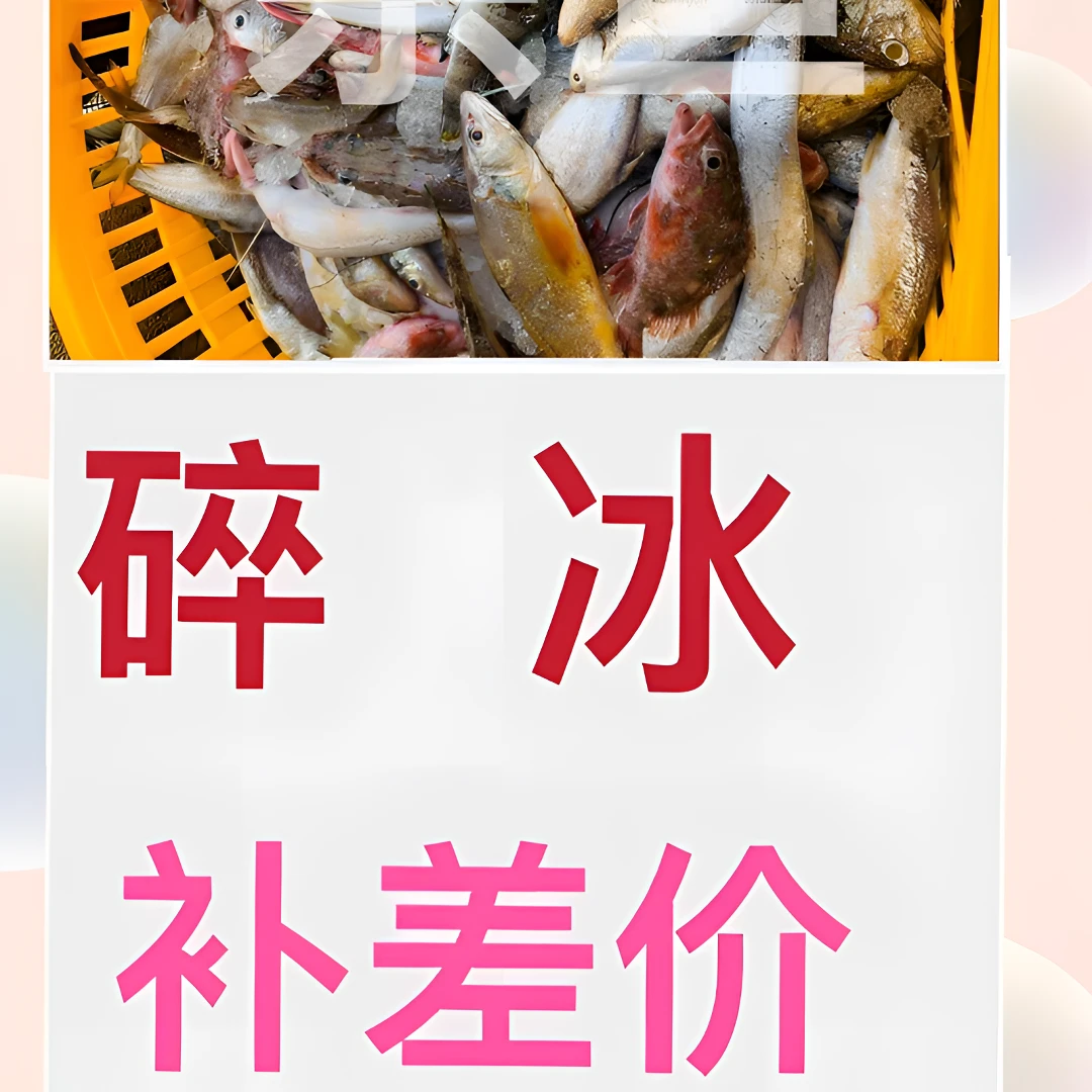 （活发/碎冰发货）  海鱼1-5斤（补差价 ） 干净 鲜活