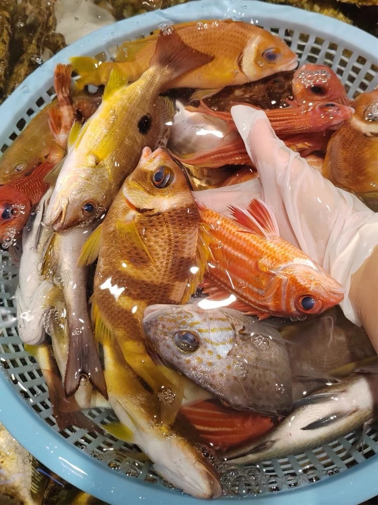 农村本地小黄牛 牛肉 新鲜 代买  现场称
