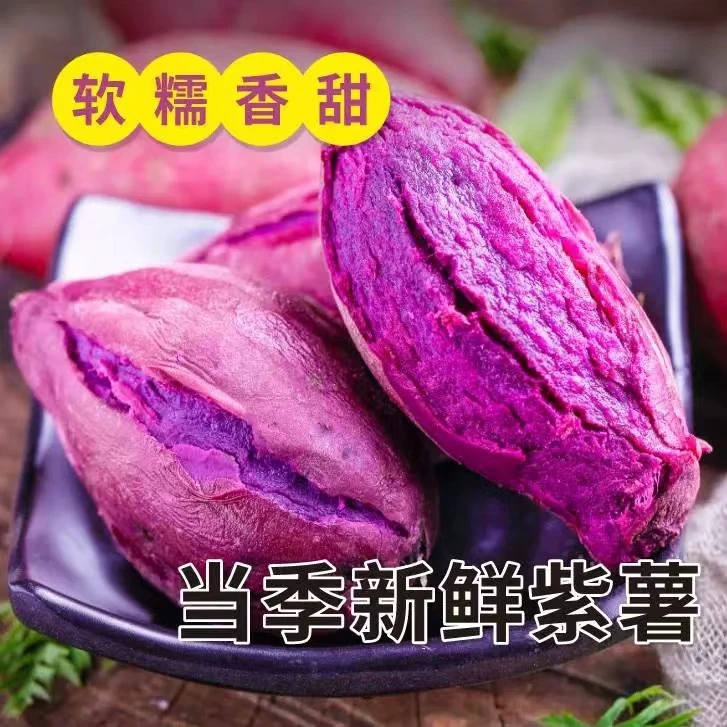 新鲜紫罗兰紫薯农家生态种植沙地皮薄肉厚健康美味香甜原产地发货