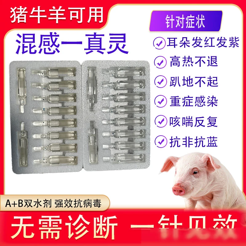 混感真灵蓝耳发热不吃猪牛羊