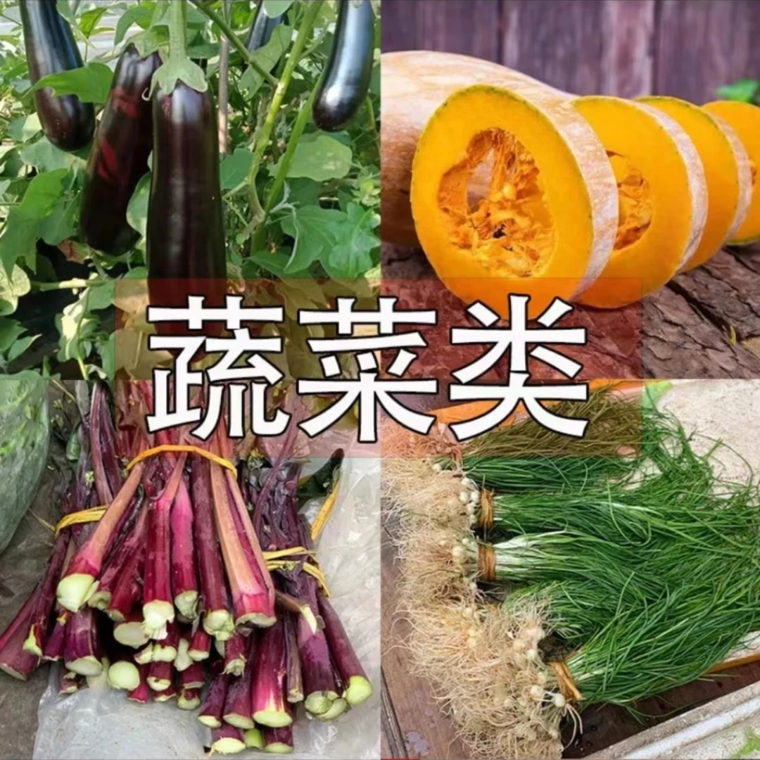【蔬菜1】农户自种蔬菜