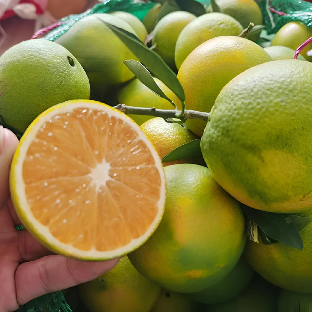 贵州罗甸优选蜂蜜橙（大果装）香甜汁水充足果肉细嫩9分甜1分果酸