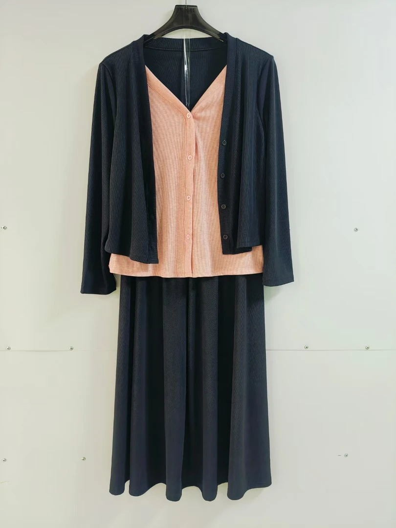 2024年秋季新款显瘦休闲慵懒风百搭V领内搭裙子套装1118