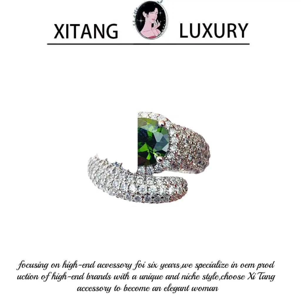 铜合金耳饰 《深爱幽灵戒指》个性设计师欧美小众时尚气质戒指8357
