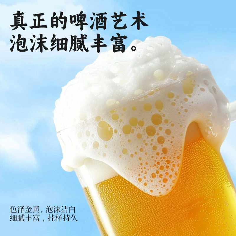 【双忠花】原浆小麦精酿白啤酒500ml*6瓶特惠装浓度13°P啤酒推荐