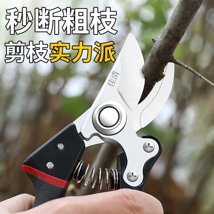花木剪修枝剪刀不锈钢省力园艺园林花艺花枝家用剪树枝专用剪刀