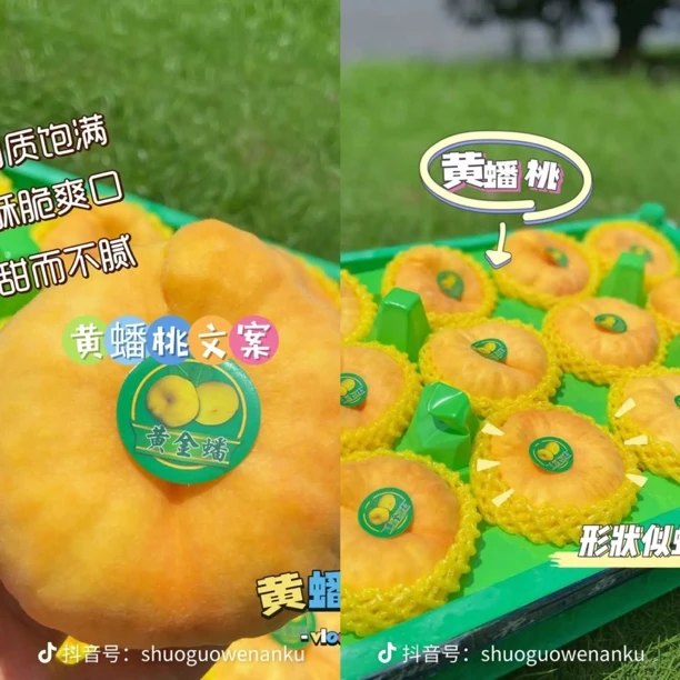 山东脆甜蟠桃3个
