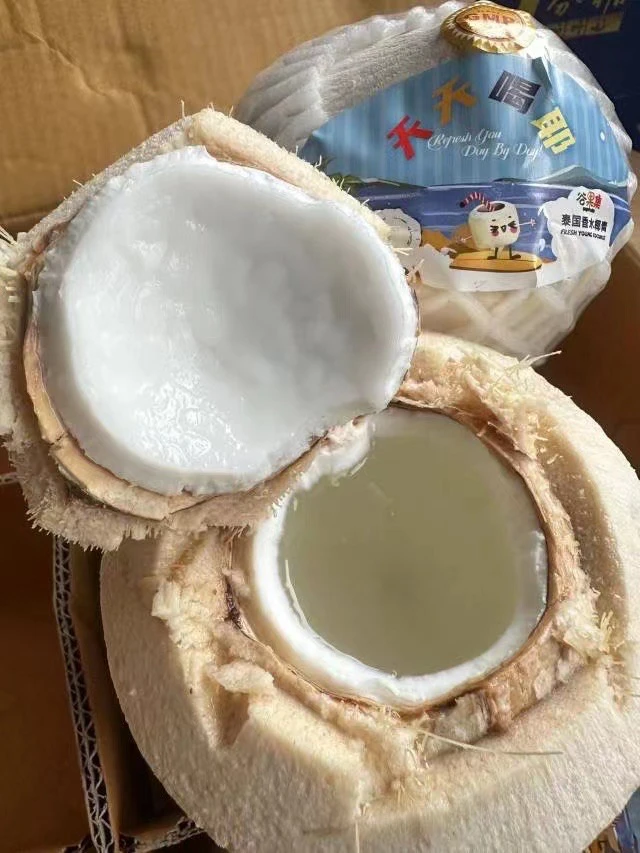 泰国香水椰青一个
