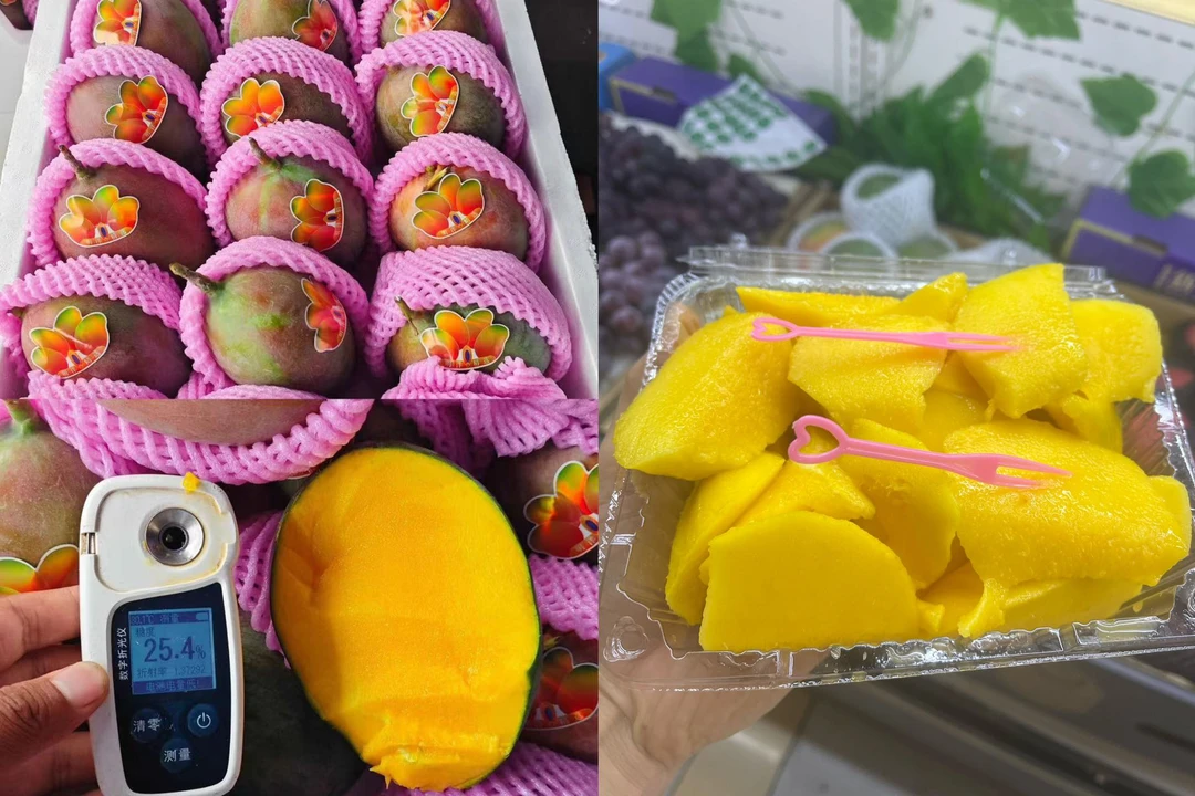 切新鲜澳芒切盒2个