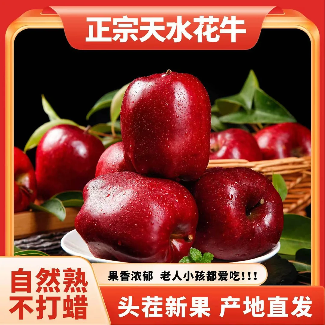 【产地直发】正品甘肃花牛苹果时令新鲜水果高山蛇果刮泥粉面直发