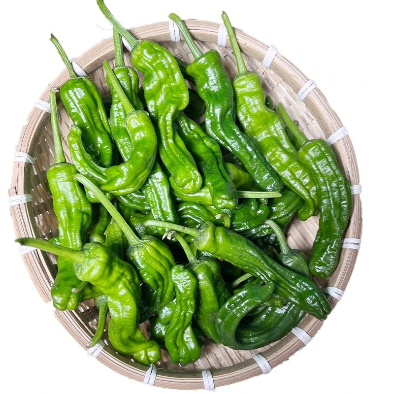 超辣皱皮椒 约150g