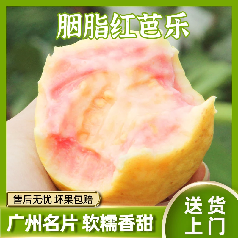 【天生软糯】胭脂红番石榴3/4.5斤芭乐红心软糯鸡屎果当季水果整箱