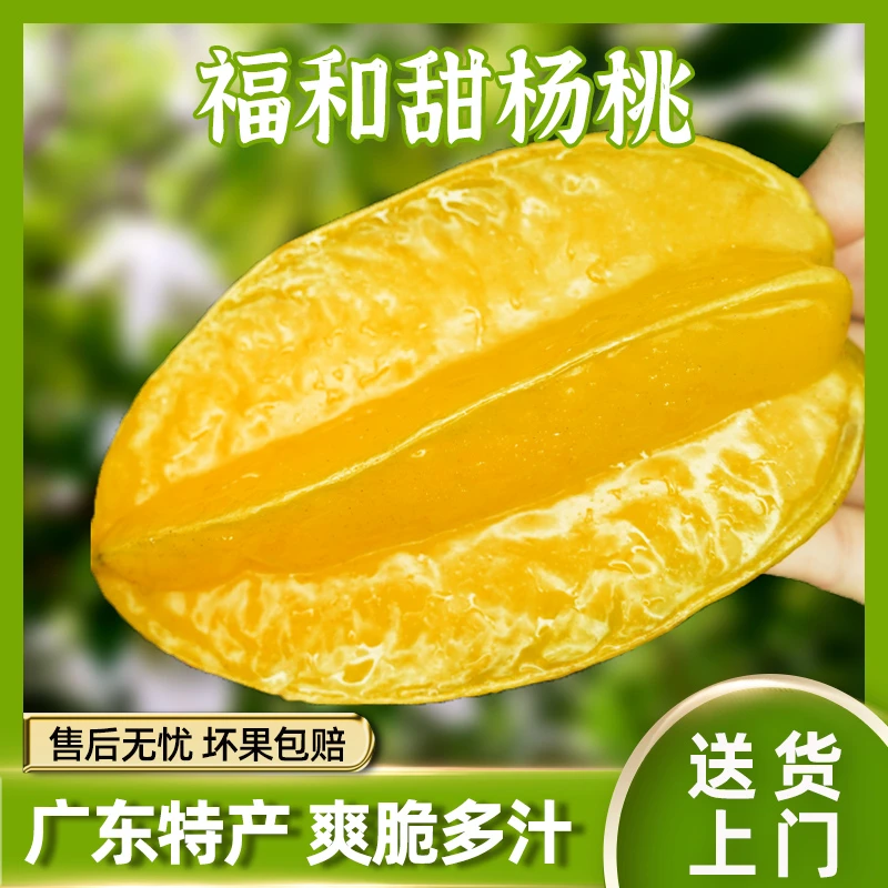 【广东特产】广州福和大杨桃2/3/4.5斤新鲜热带水果五角星甜杨桃