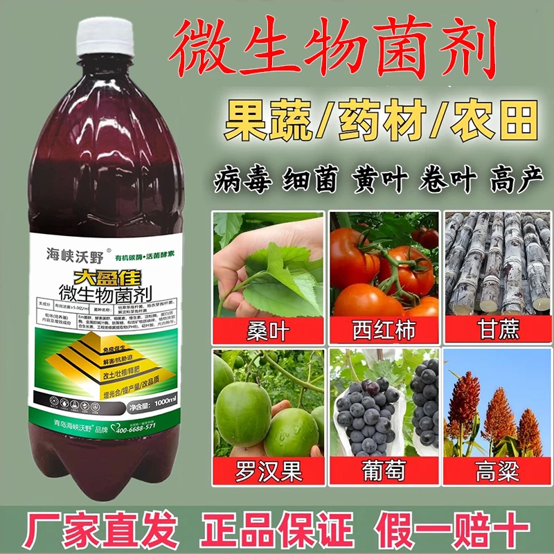 微生物含多种芽孢杆菌提质增产提高免疫力瓜果蔬菜通用微生物肥料